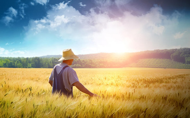 农业猎头深度解析 农业工程师的核心岗位职责与新兴领域